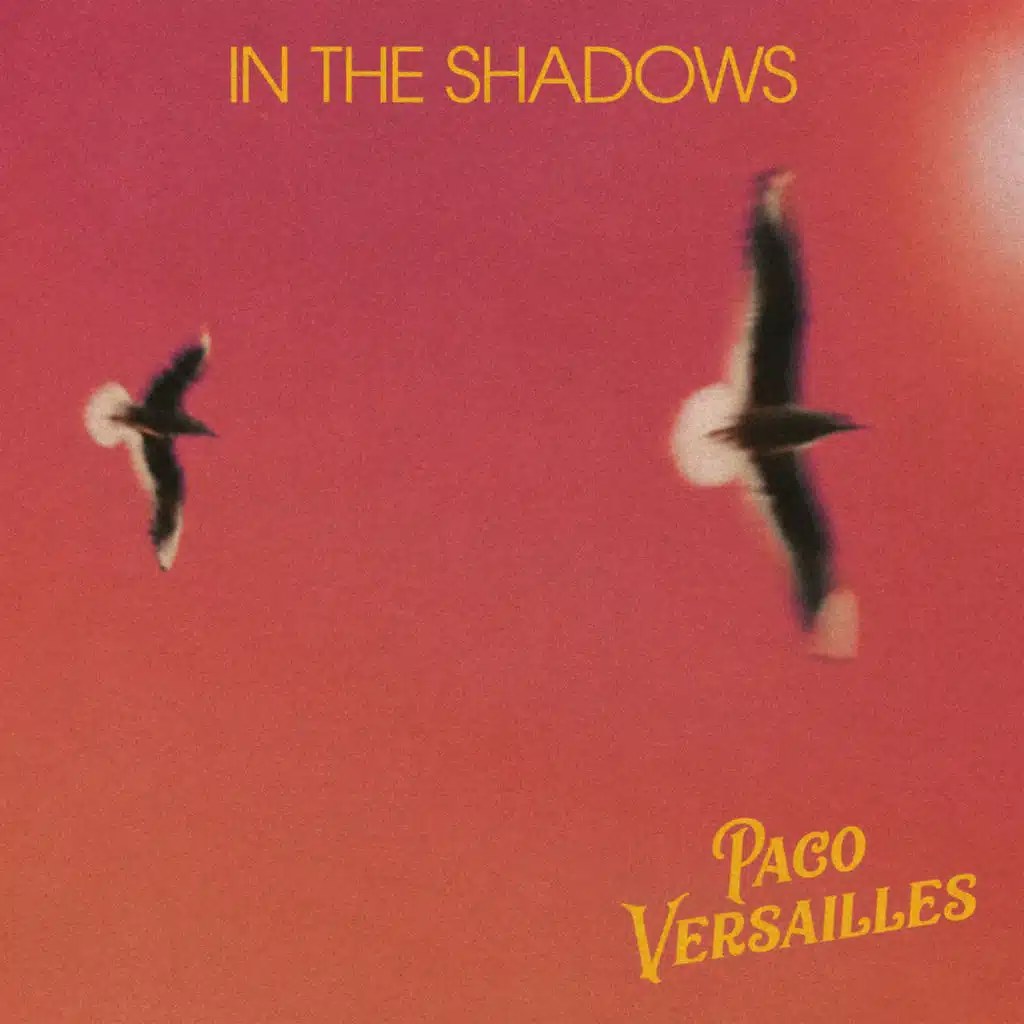 In The Shadows