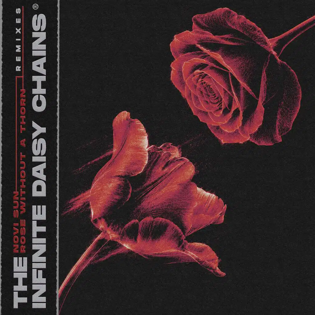 Novi Sun | Rose Without a Thorn (Remixes)