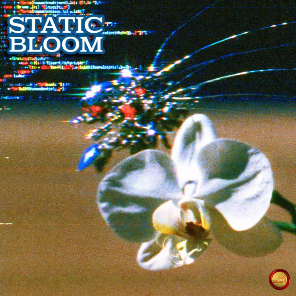 Static Bloom