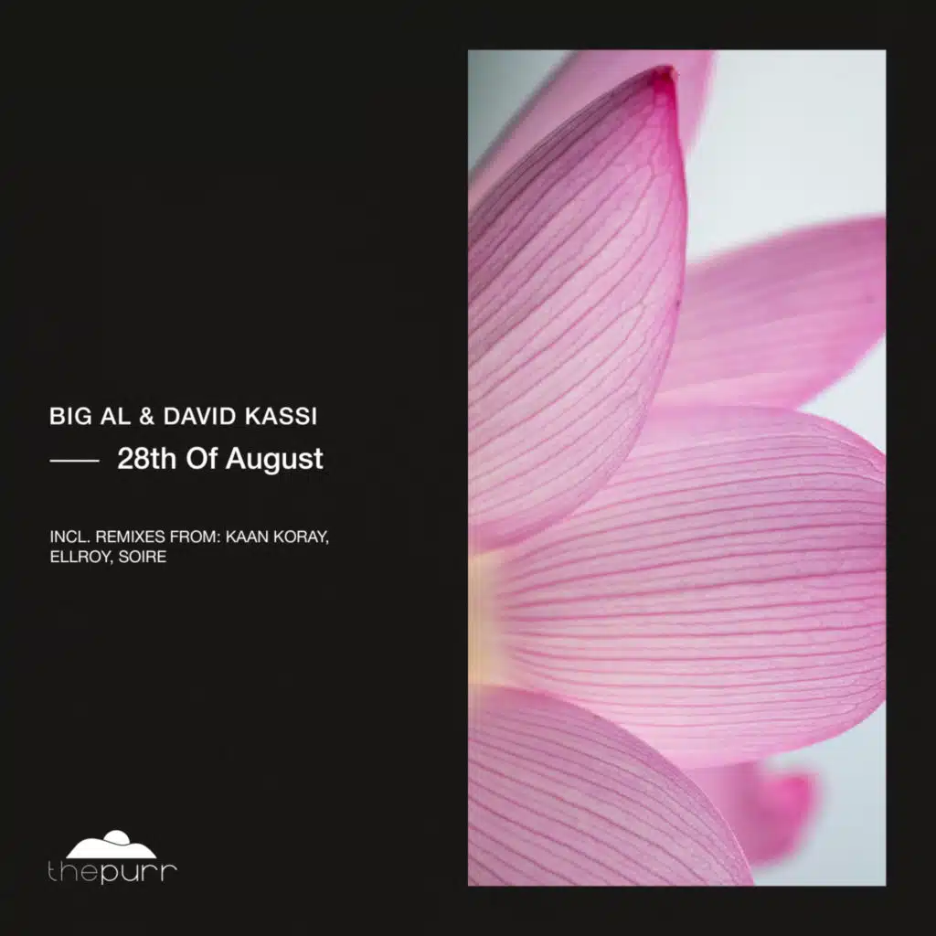 28th of August