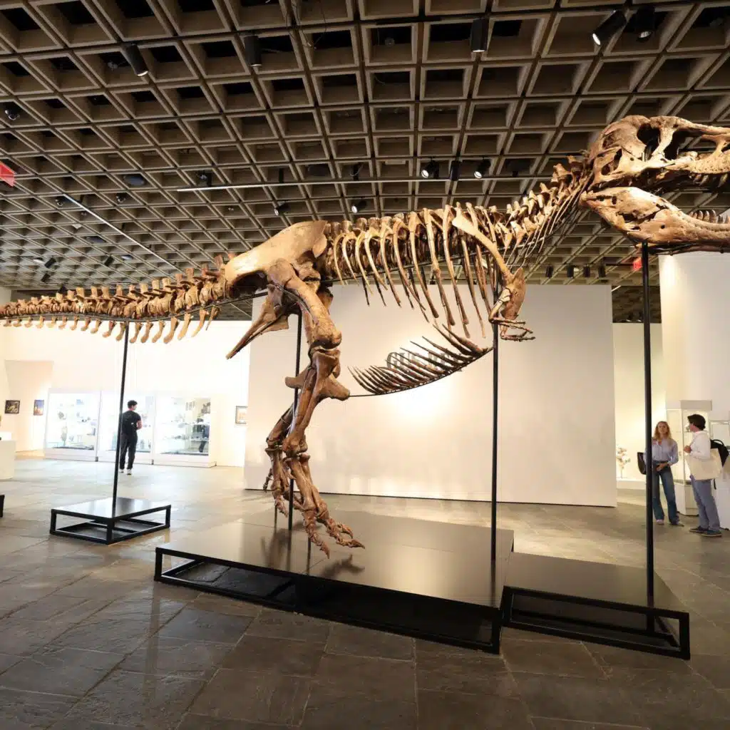 The ultra rich are collecting fossils, and that’s bad for science