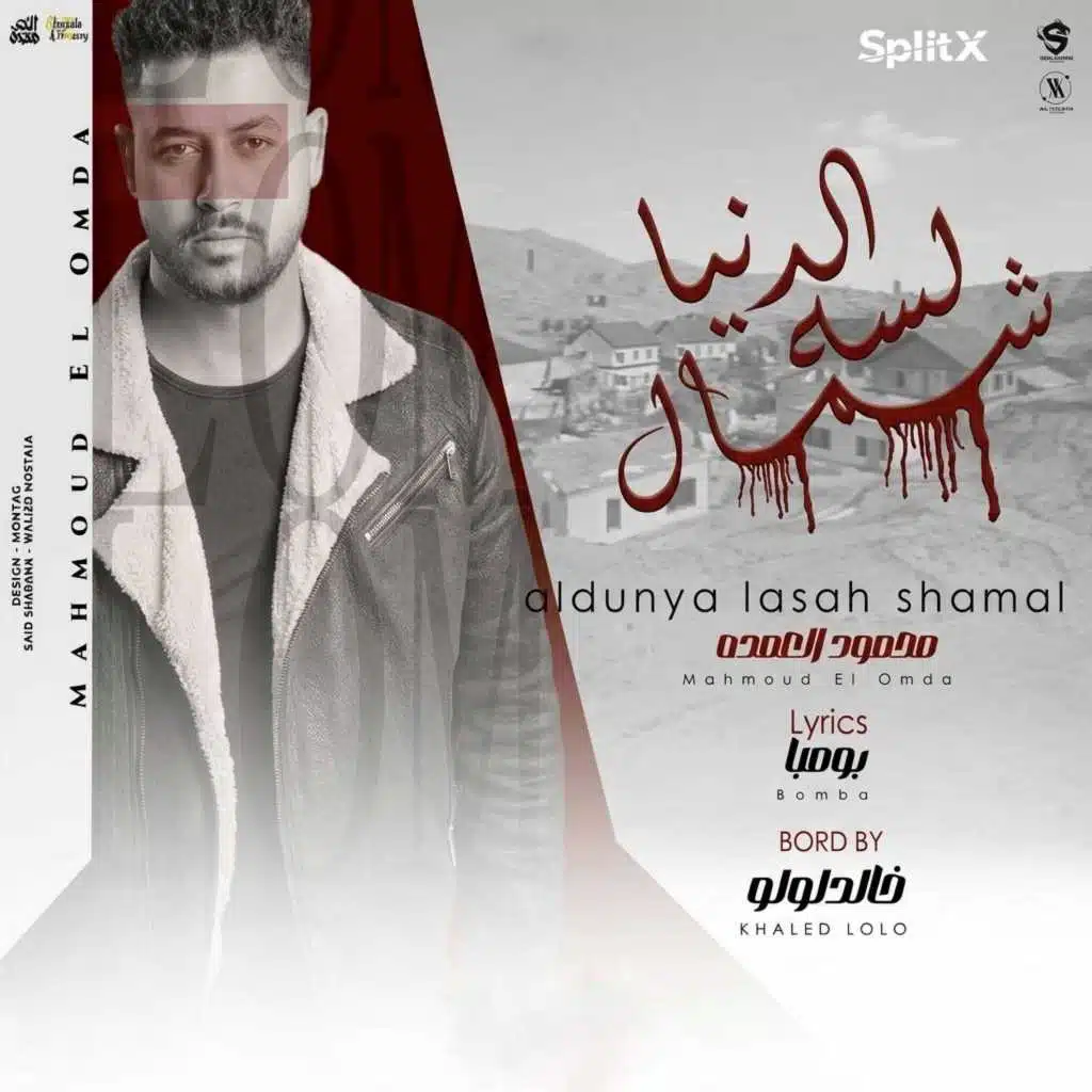 الدنيا لسه شمال