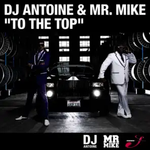 To The Top (Steelfish Dub Mix) [ft. Mr. Mike]