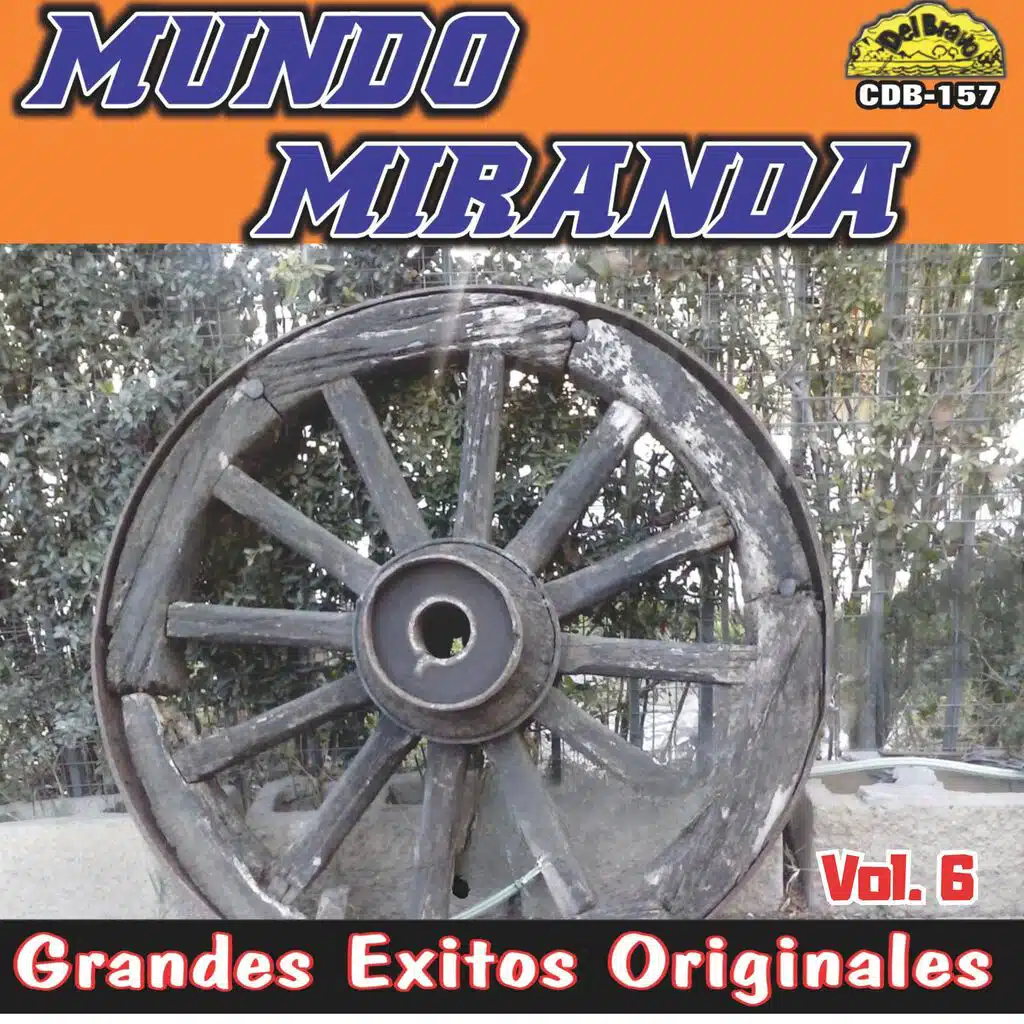Grandes Éxitos Originales, Vol. 6