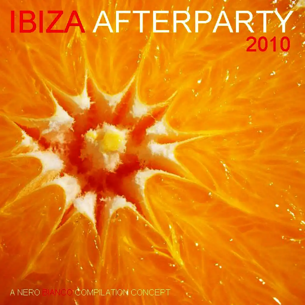 Ibiza Afterparty 2010