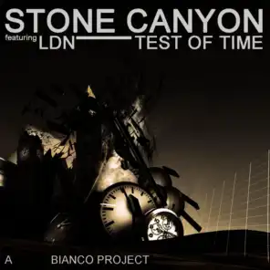 Test Of Time (Radio Mix) [ft. Stone Canyon]