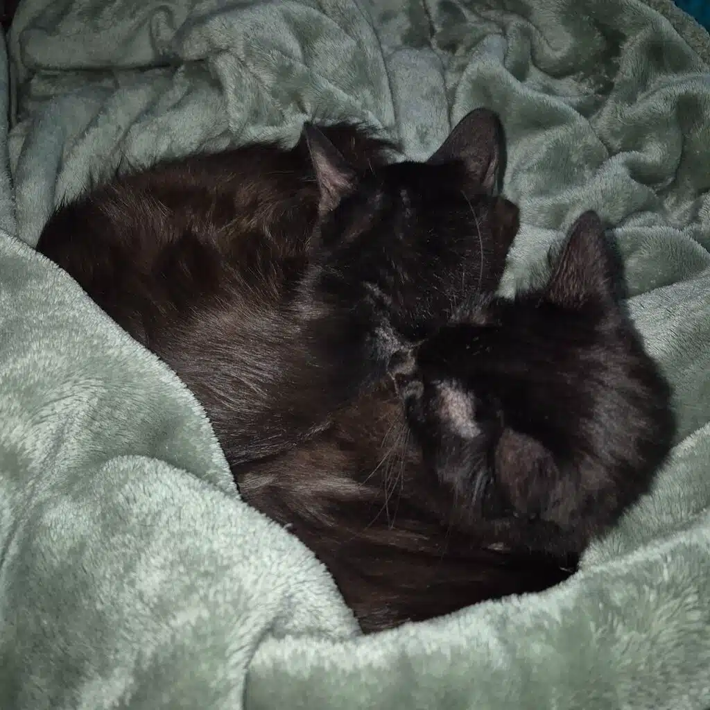 My Life