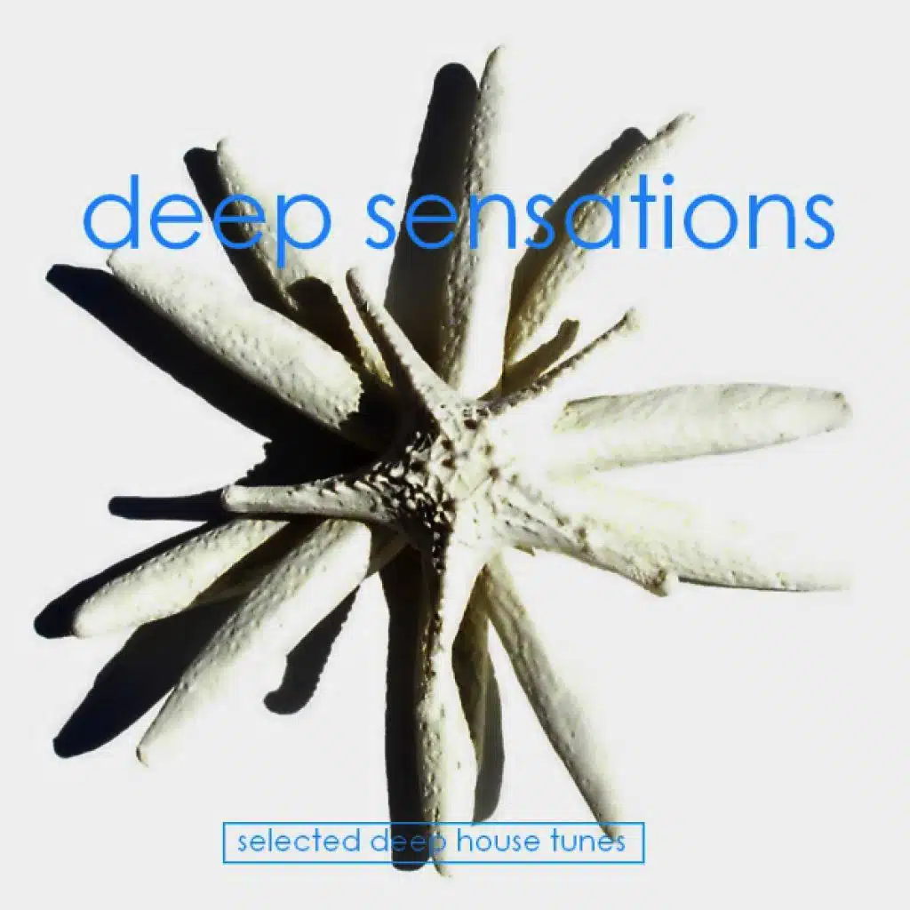 Deep Sensations Vol. 1 - Selected Deep House Tunes