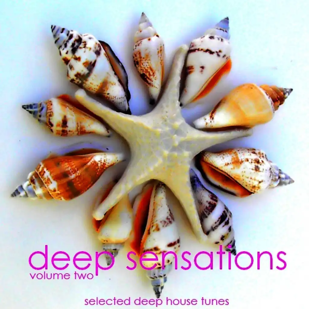 Deep Sensations Vol.2 - Selected Deep House Tunes