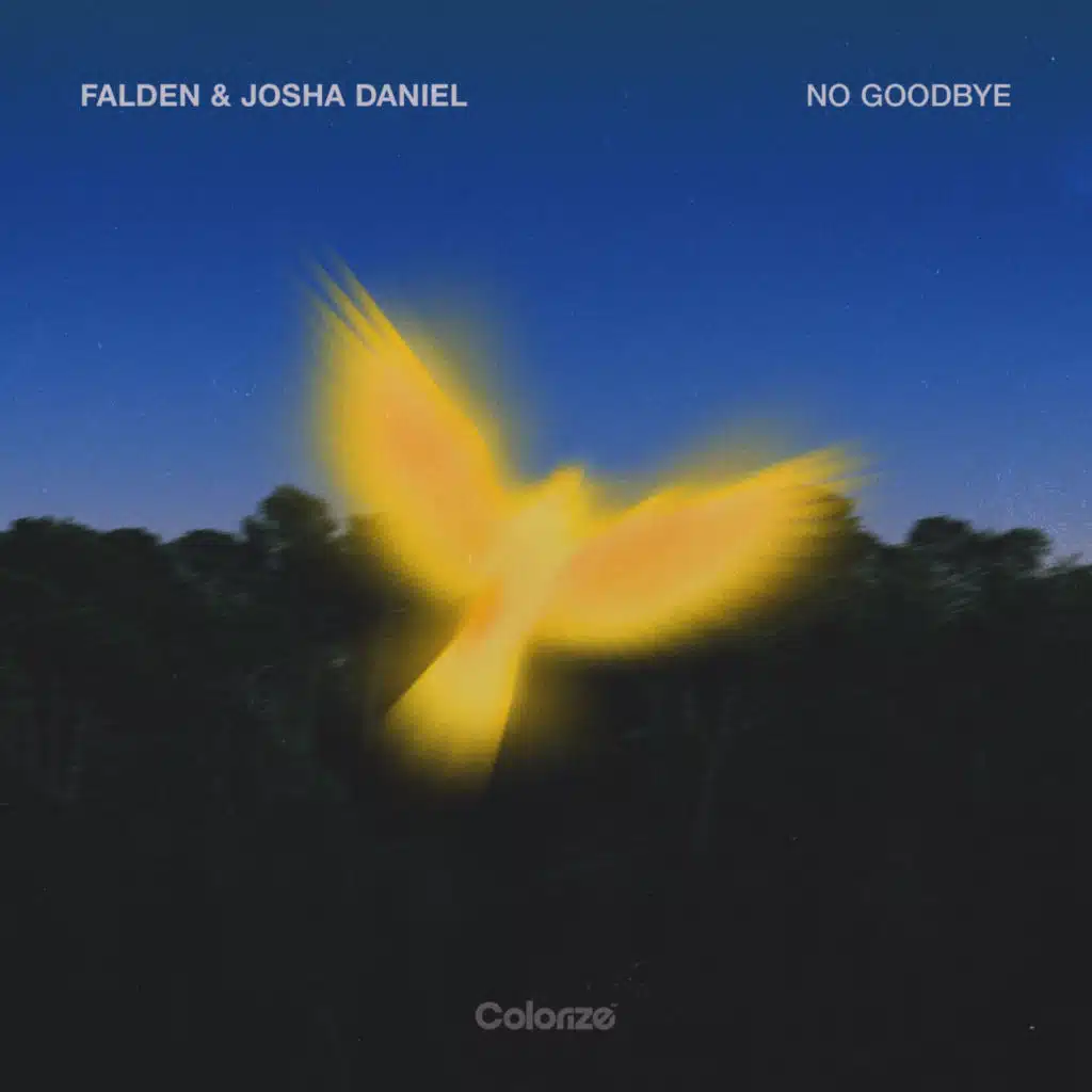 No Goodbye