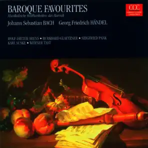 Violin Sonata No. 2 in A minor, BWV 1003: IV. Allegro