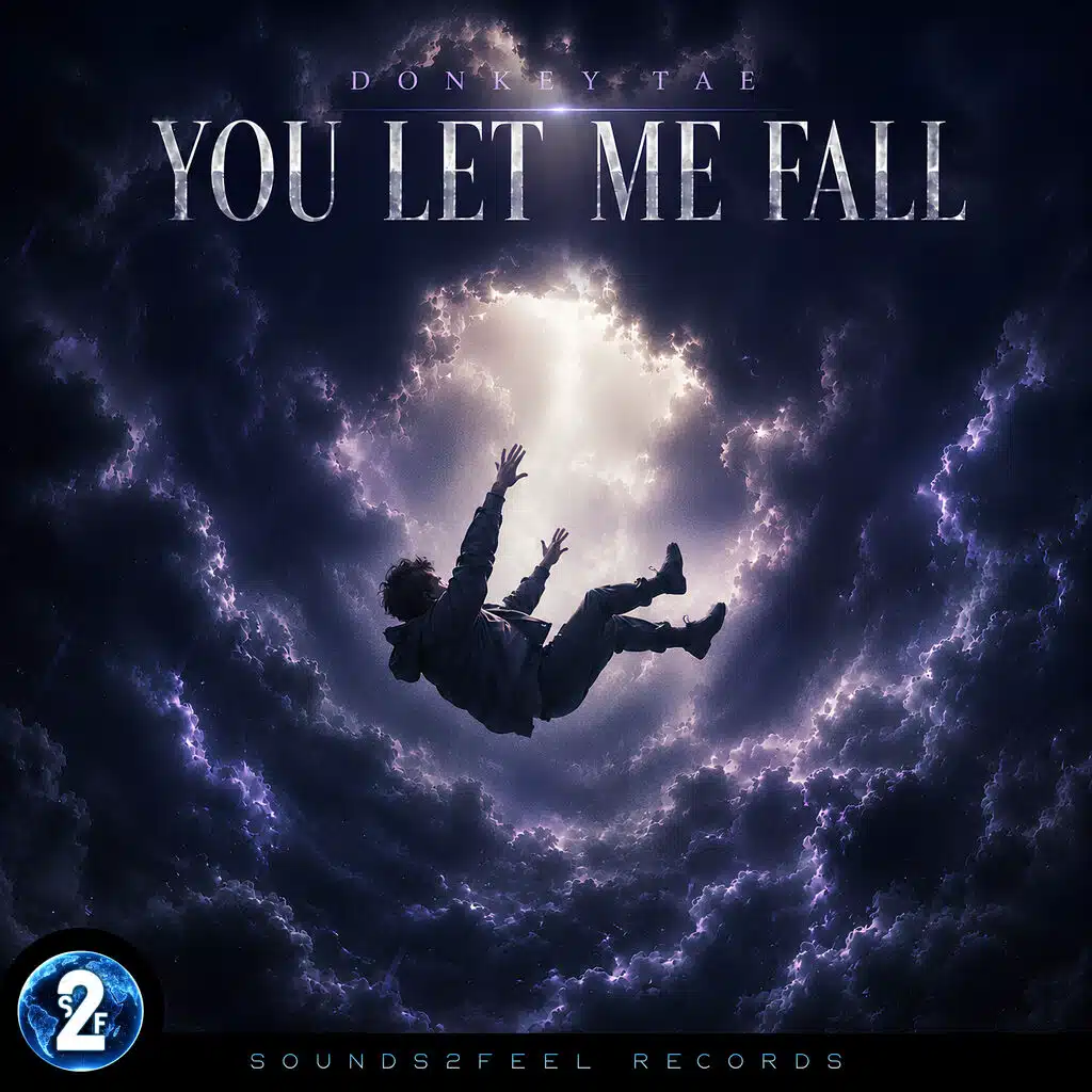 You Let Me Fall