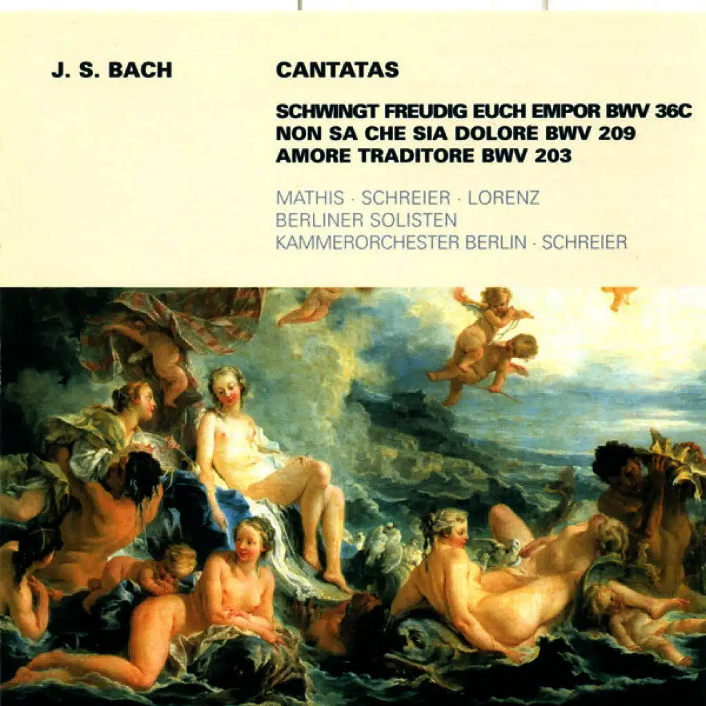 Bach: Cantatas - BWV 36c, 203, 209