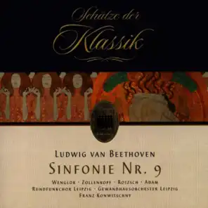 Symphony No. 9 in D Minor, Op. 125: I. Allegro ma non troppo, un poco maestoso