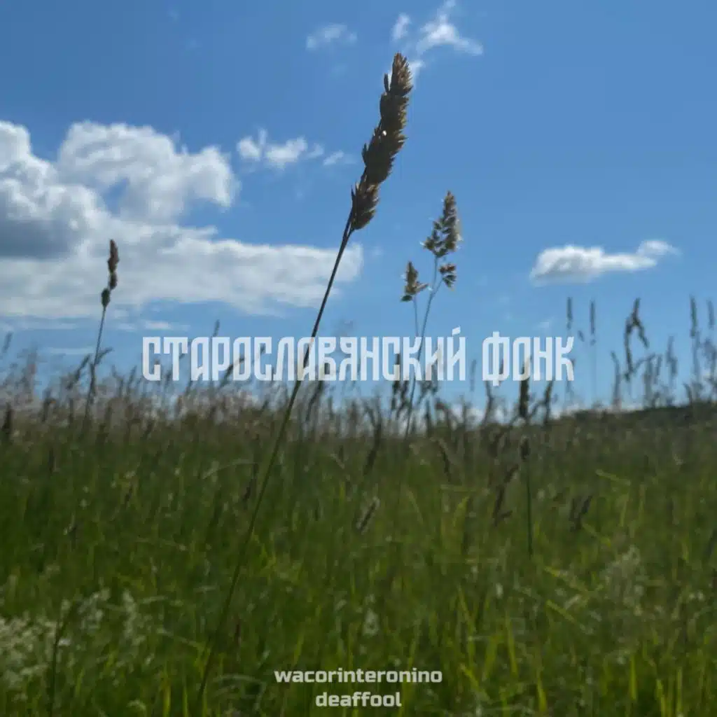 старославянский фонк