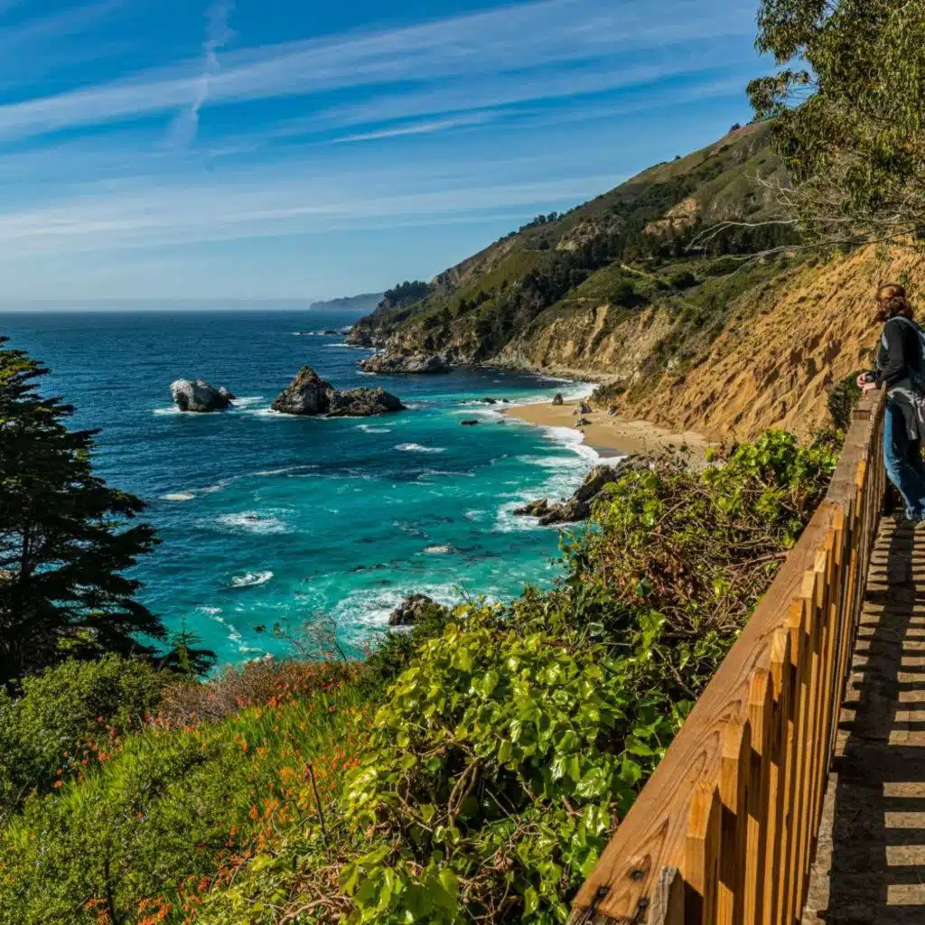 Boom and Bust in Big Sur