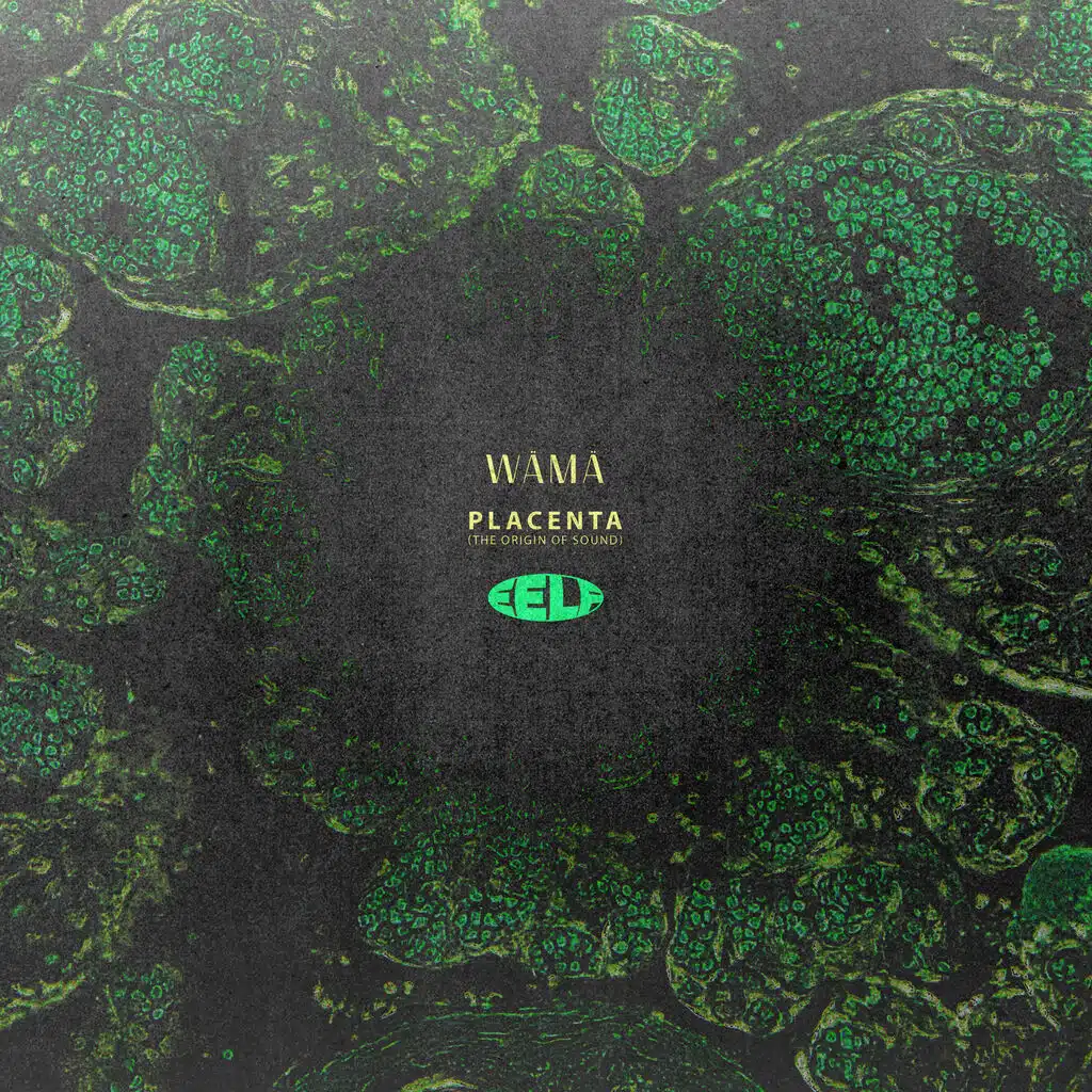 Placenta (the origin of sound)