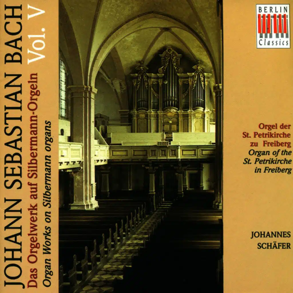 Bach: Organ Music on Silbermann Organs, Vol. 5 - BWV 690, 691a, 694-713