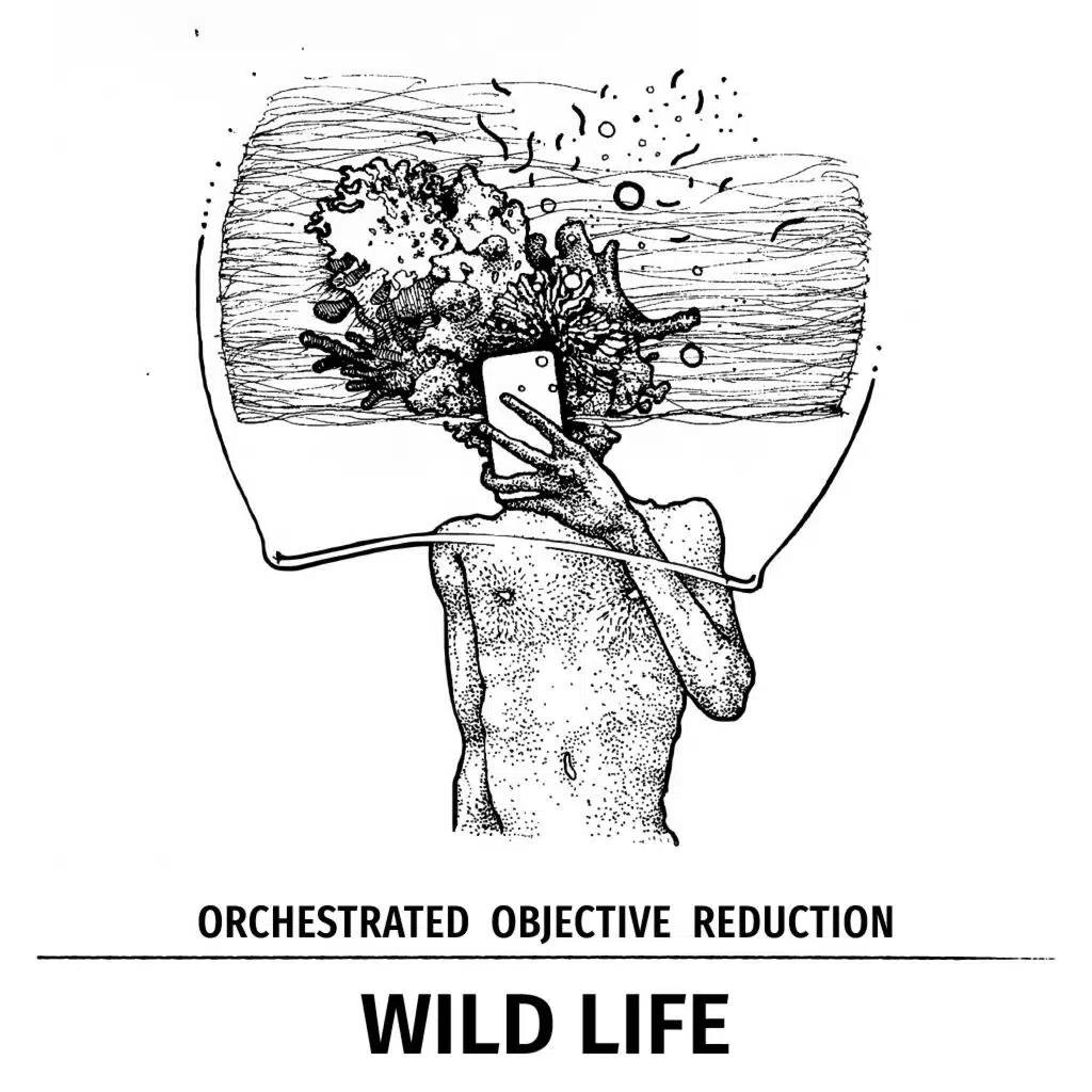 Orchestrated Objective Reduction