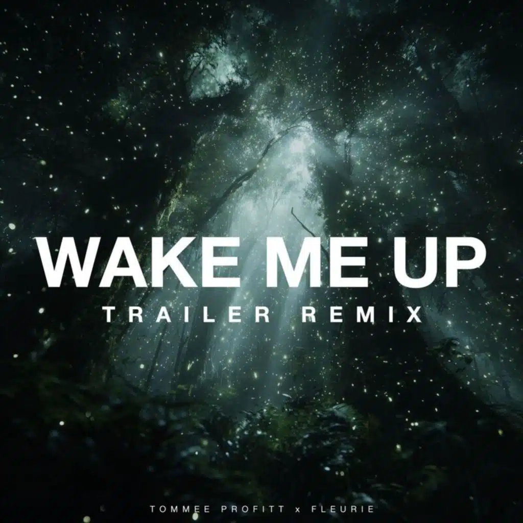 Wake Me Up (Trailer Remix)