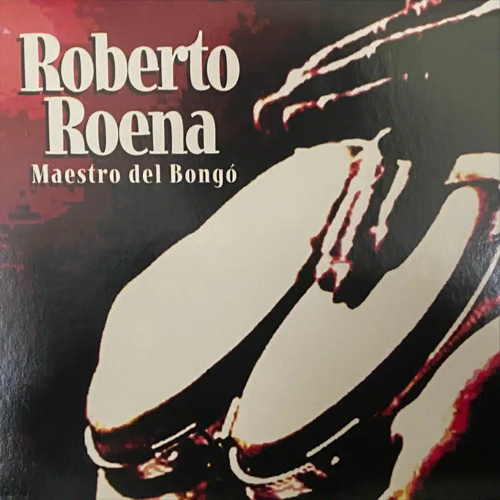 Maestro del Bongo