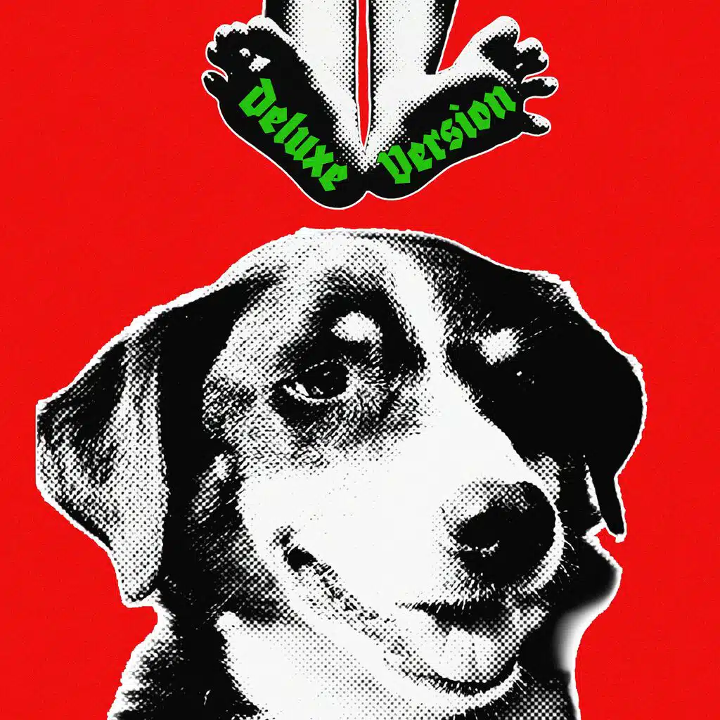 Deluxe Version