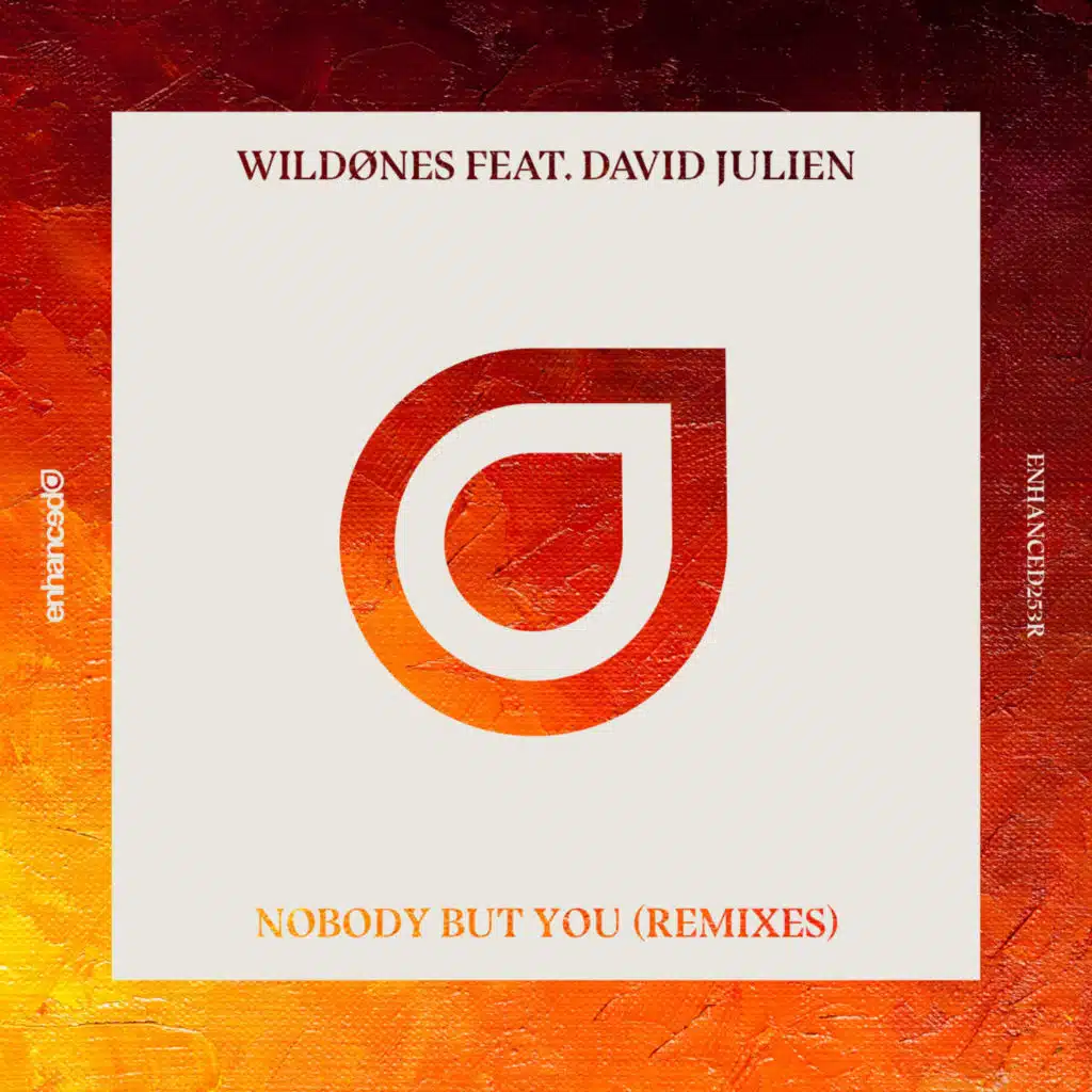 Nobody But You (feat. David Julien) (Remixes)