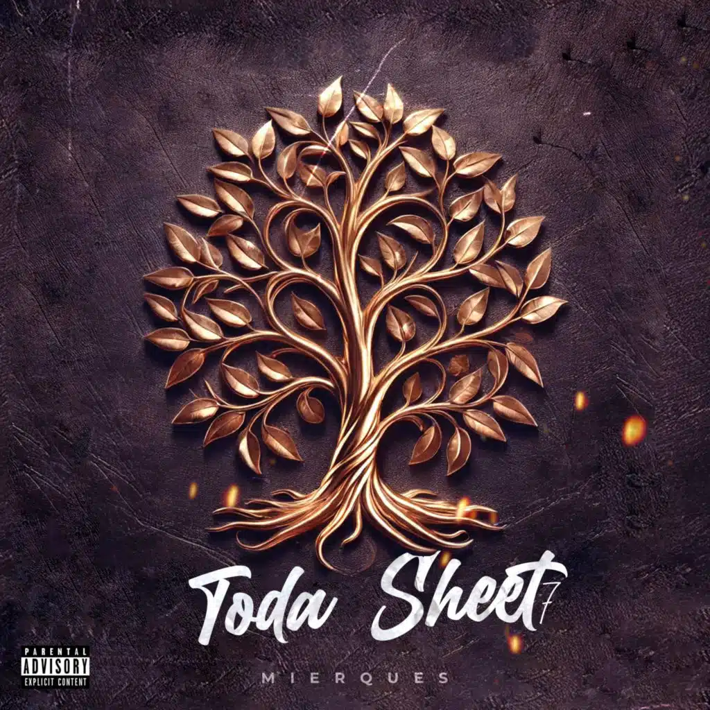 Toda Sheet 7 Album