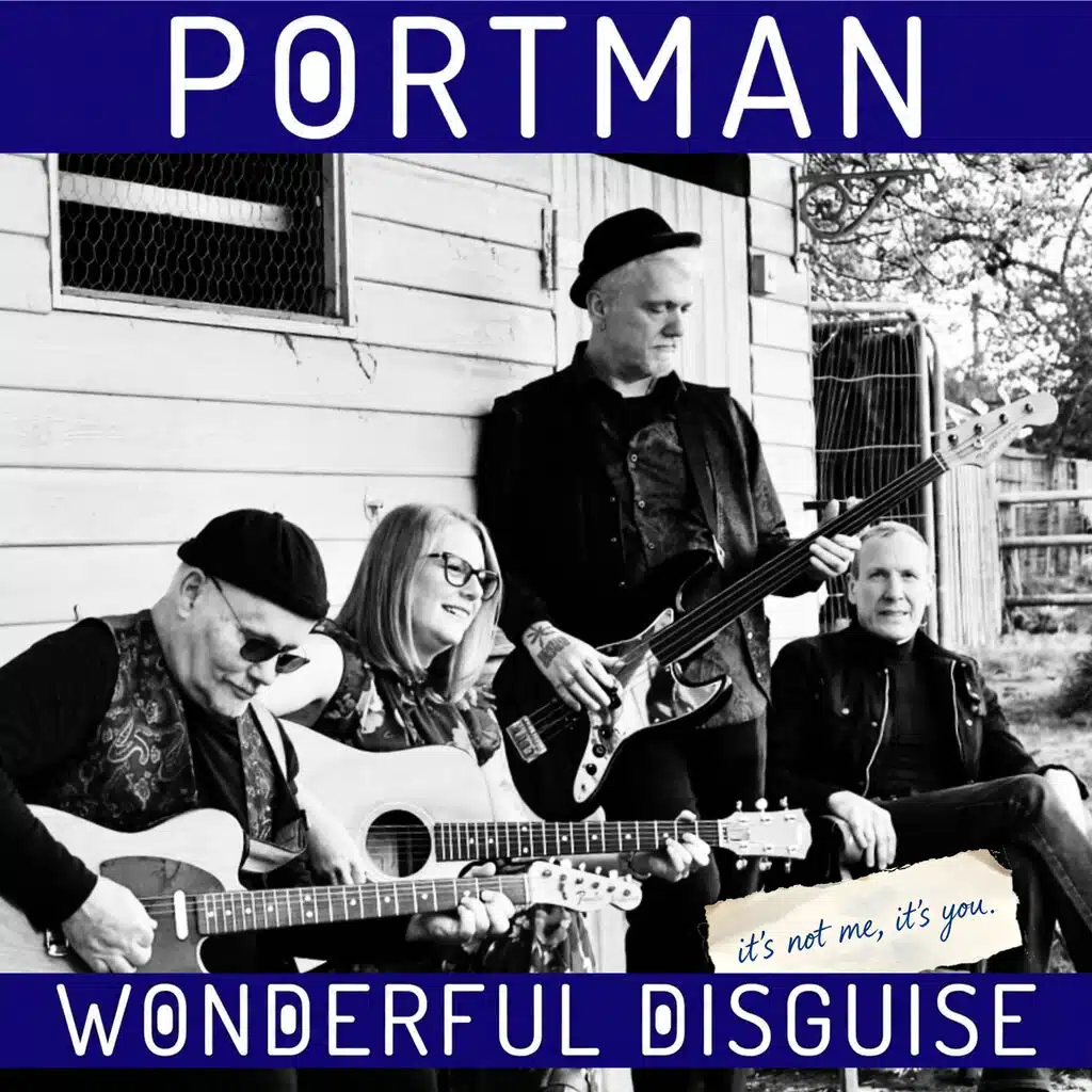 Wonderful Disguise (It's Not Me, It's You)