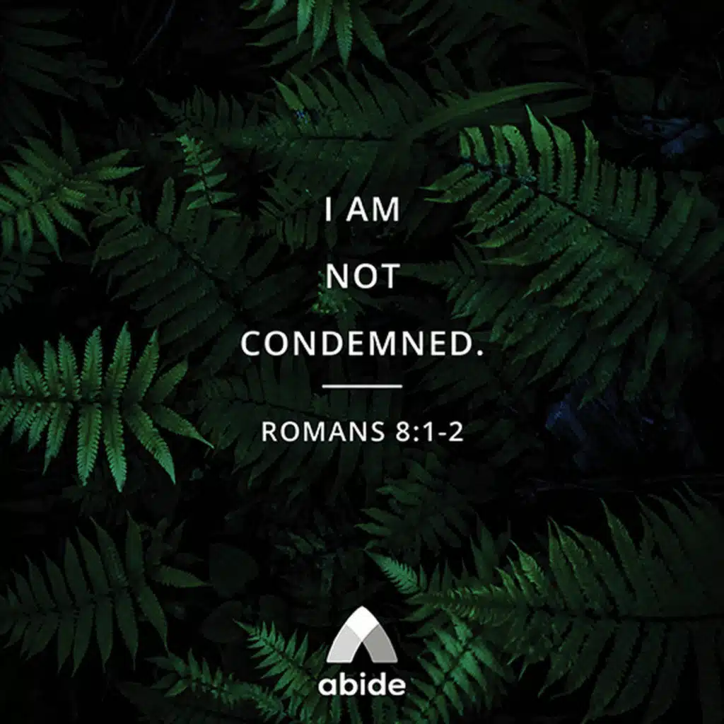 You Are Not Condemned