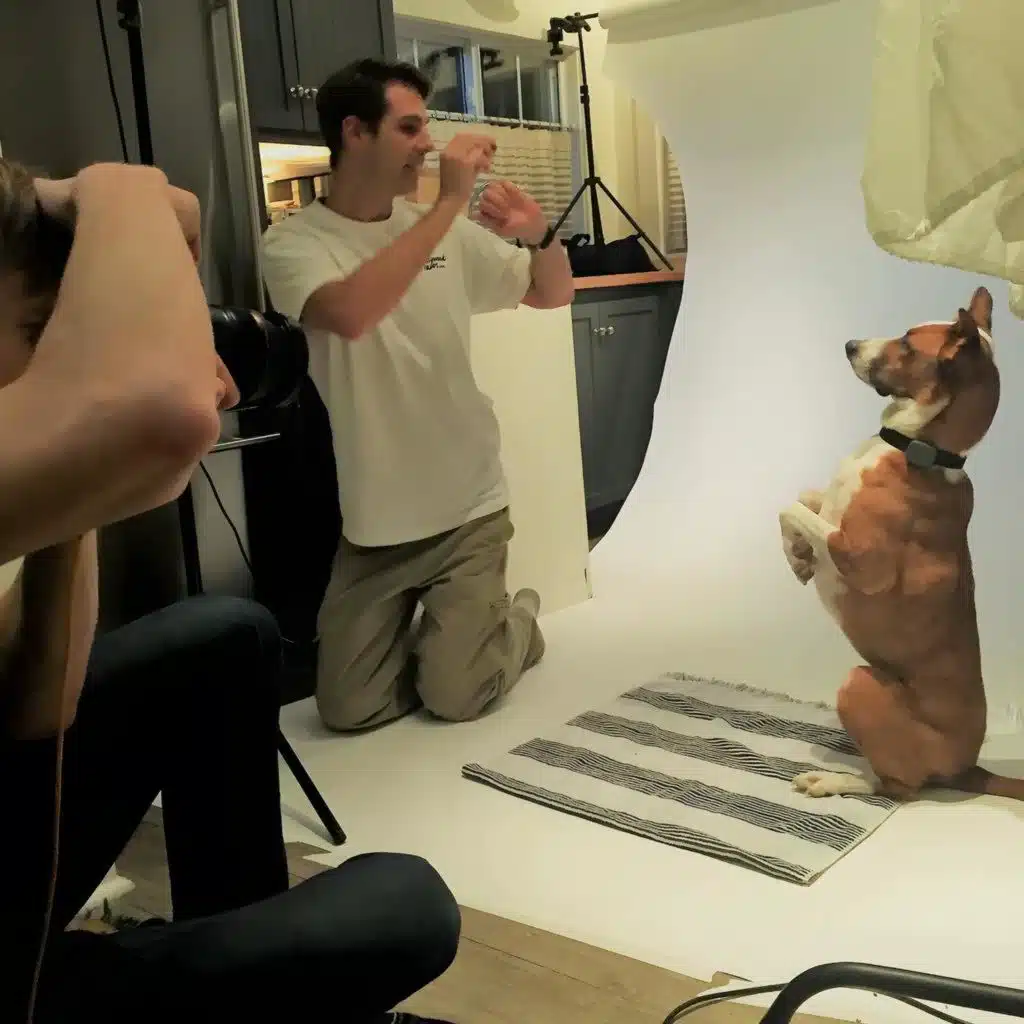 How Animals Get Cast in Movies with Hollywood Animal Agent Joel Norton