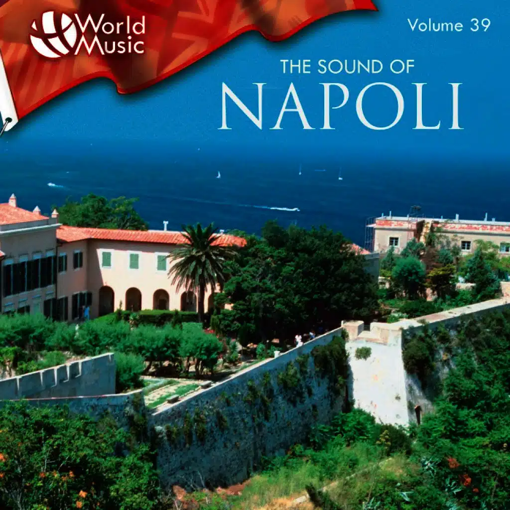 The Mandolines Of Napoli