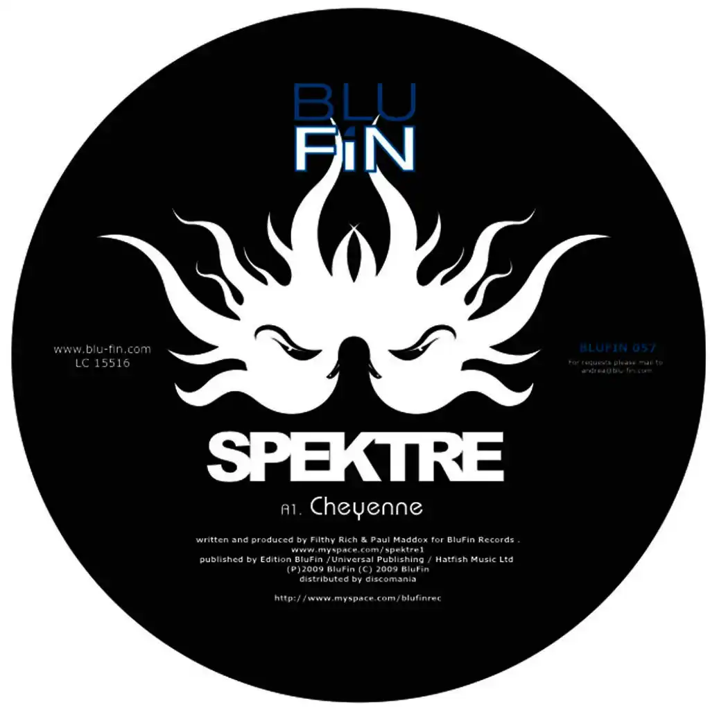 Butterfly Collector (Original)