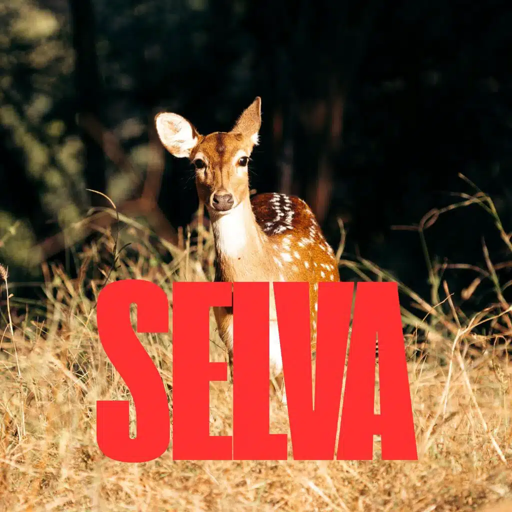 SELVA