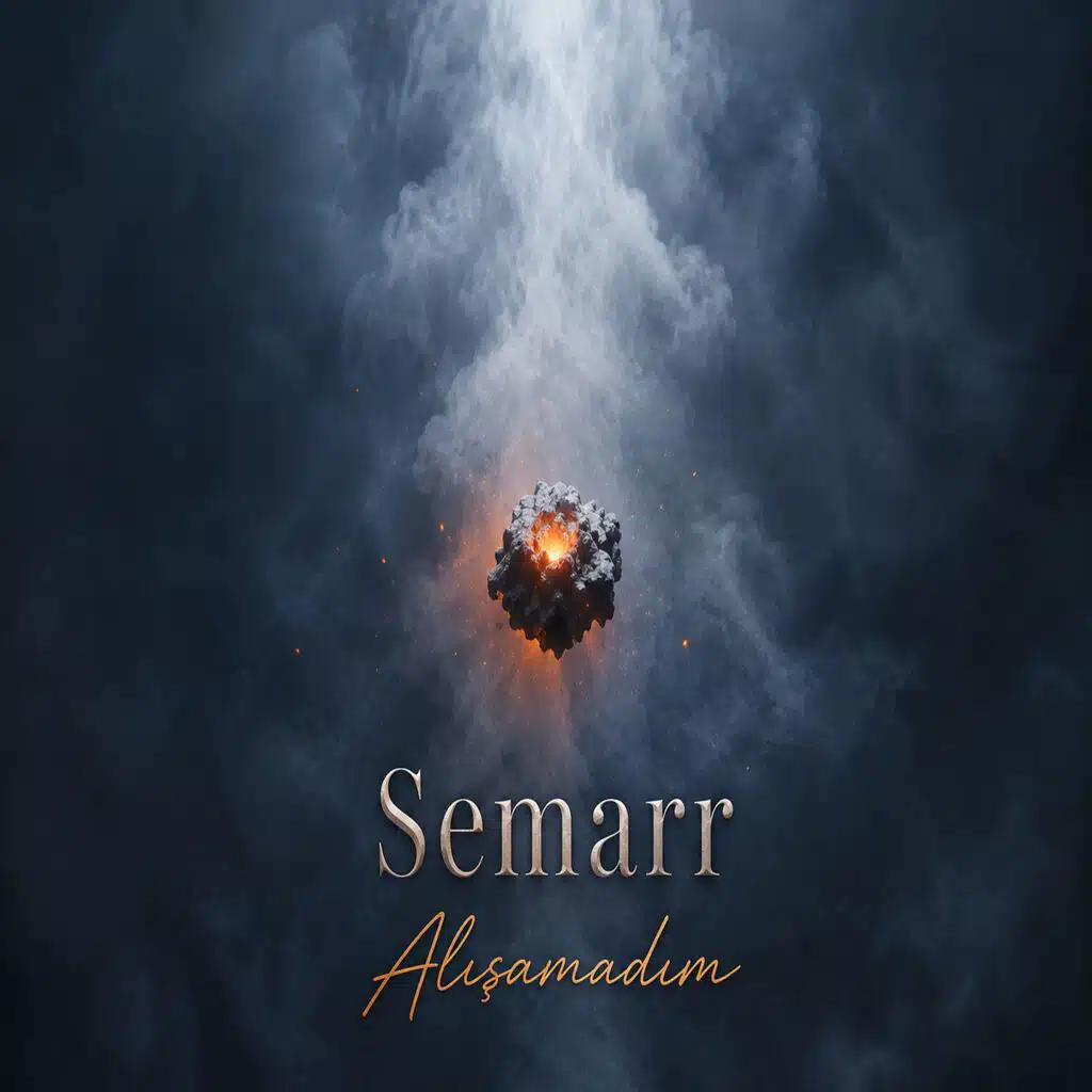 Alışamadım