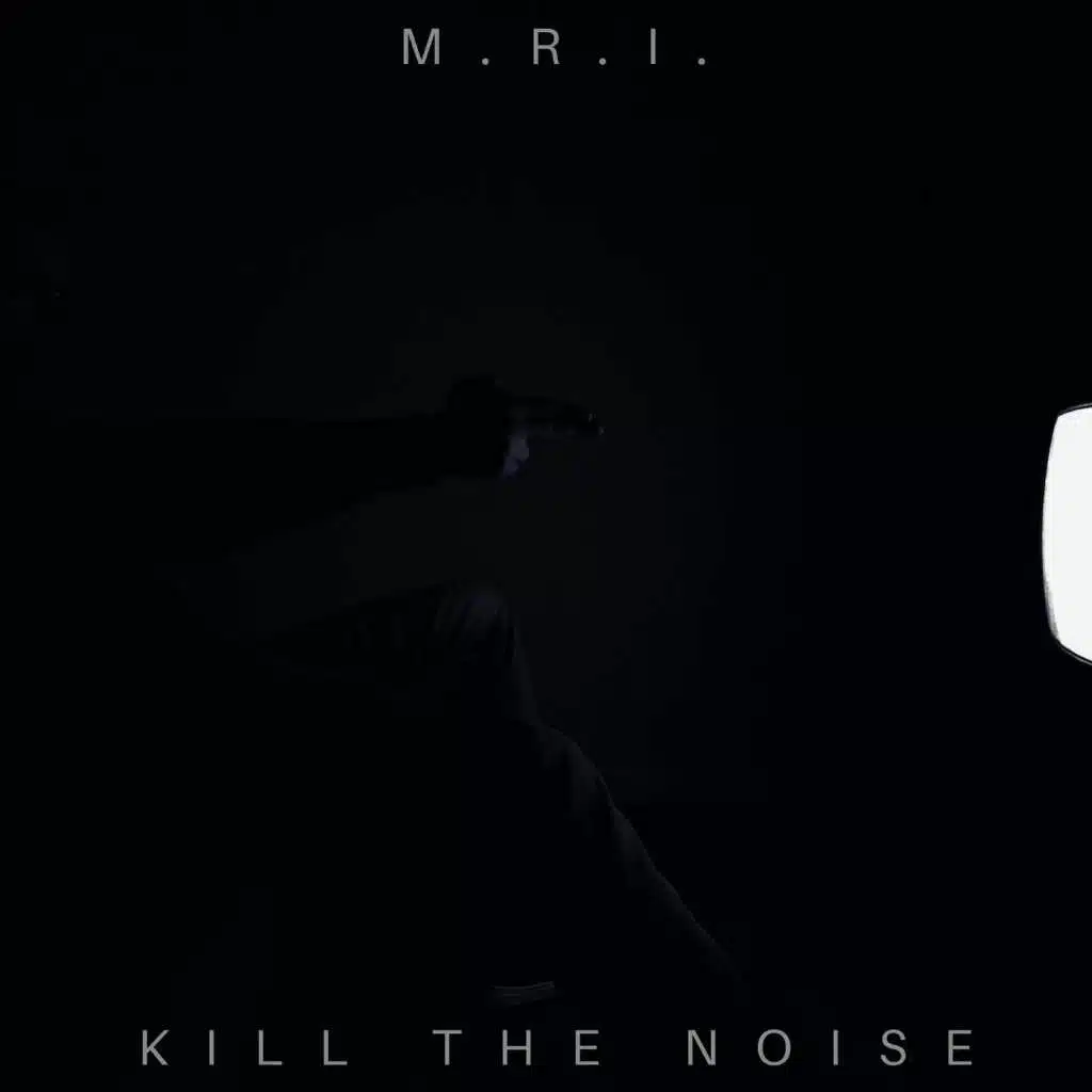 Kill the Noise