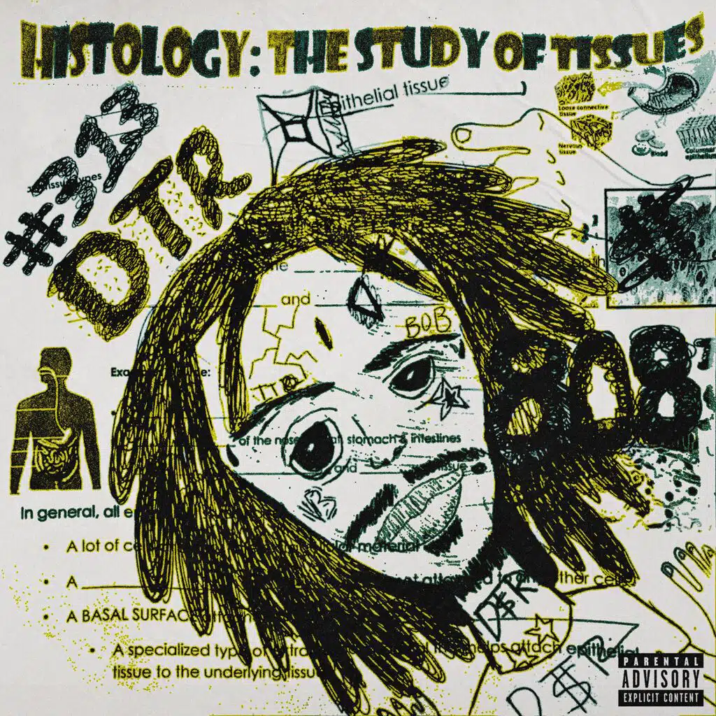 Highschool Dropout