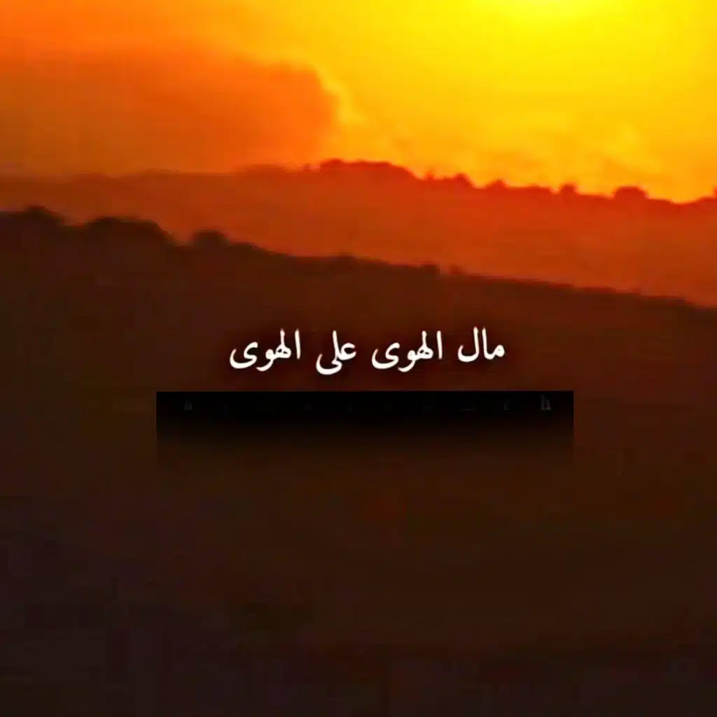 مال الهوى