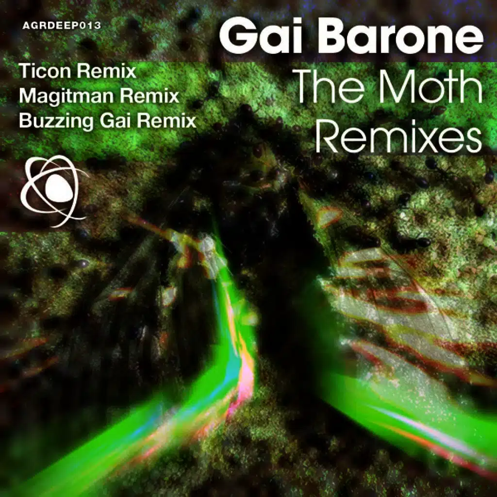 The Moth - Remixes