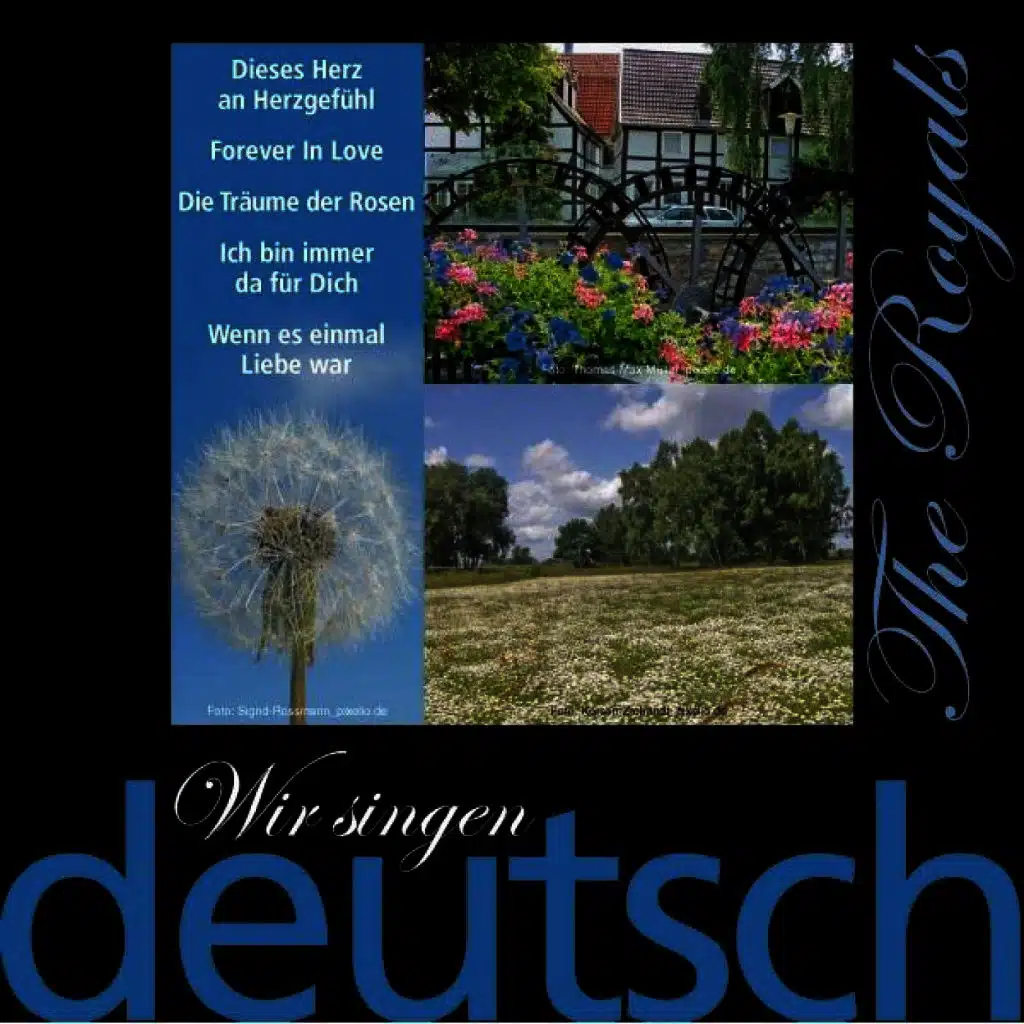 Wir singen deutsch - Herzgefühle