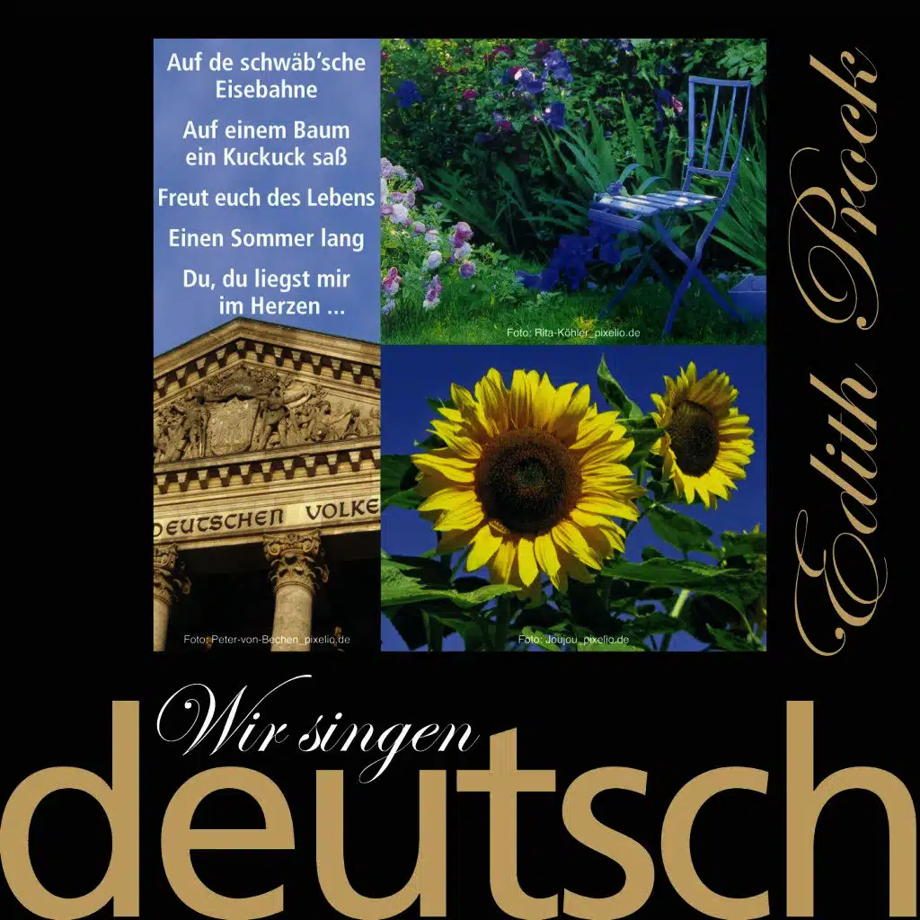 Wir singen deutsch - Auf der schwäb'sche Eisebahne