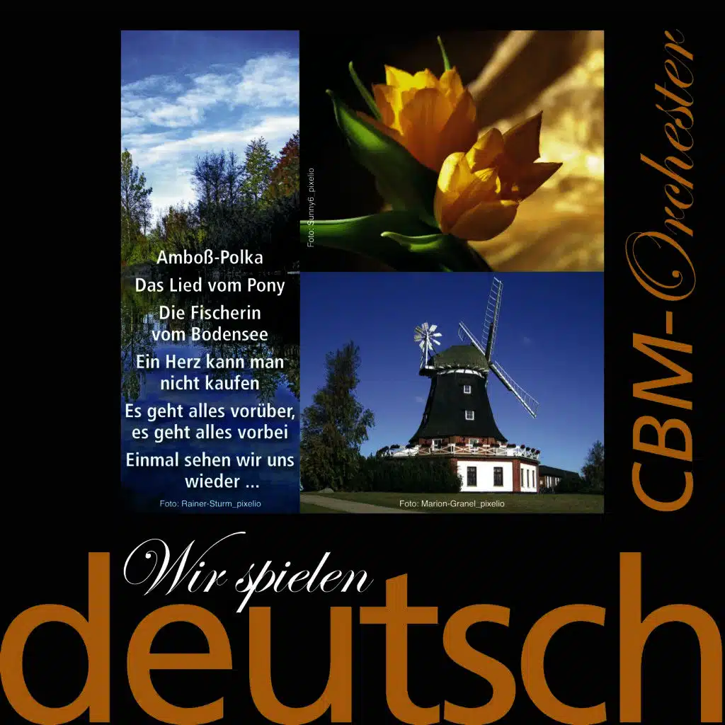 Wir spielen deutsch - Jahrhunderthits 1920-50 in Instrumental