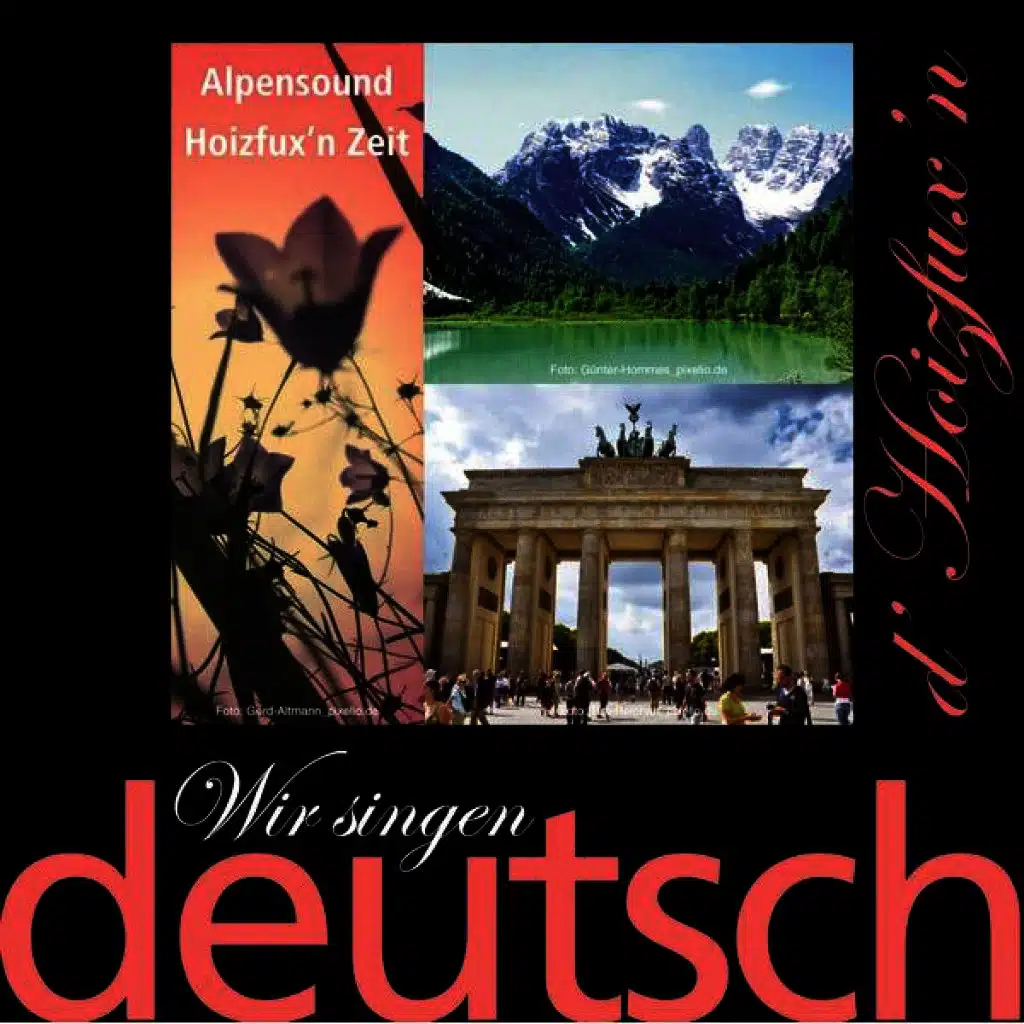 Wir singen deutsch - Alpensound