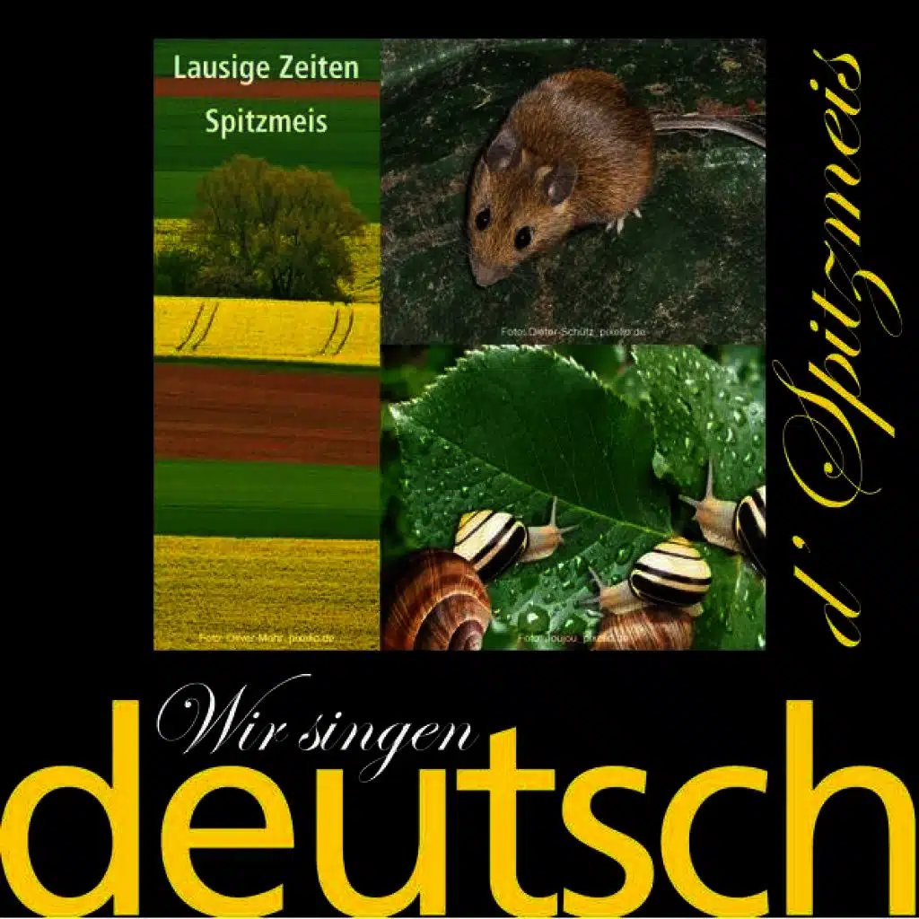 Wir singen deutsch - Lausige Zeiten