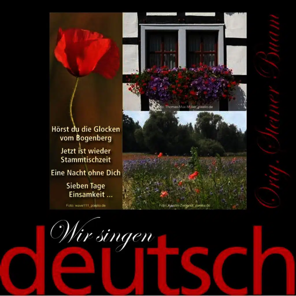 Original Steiner Buam