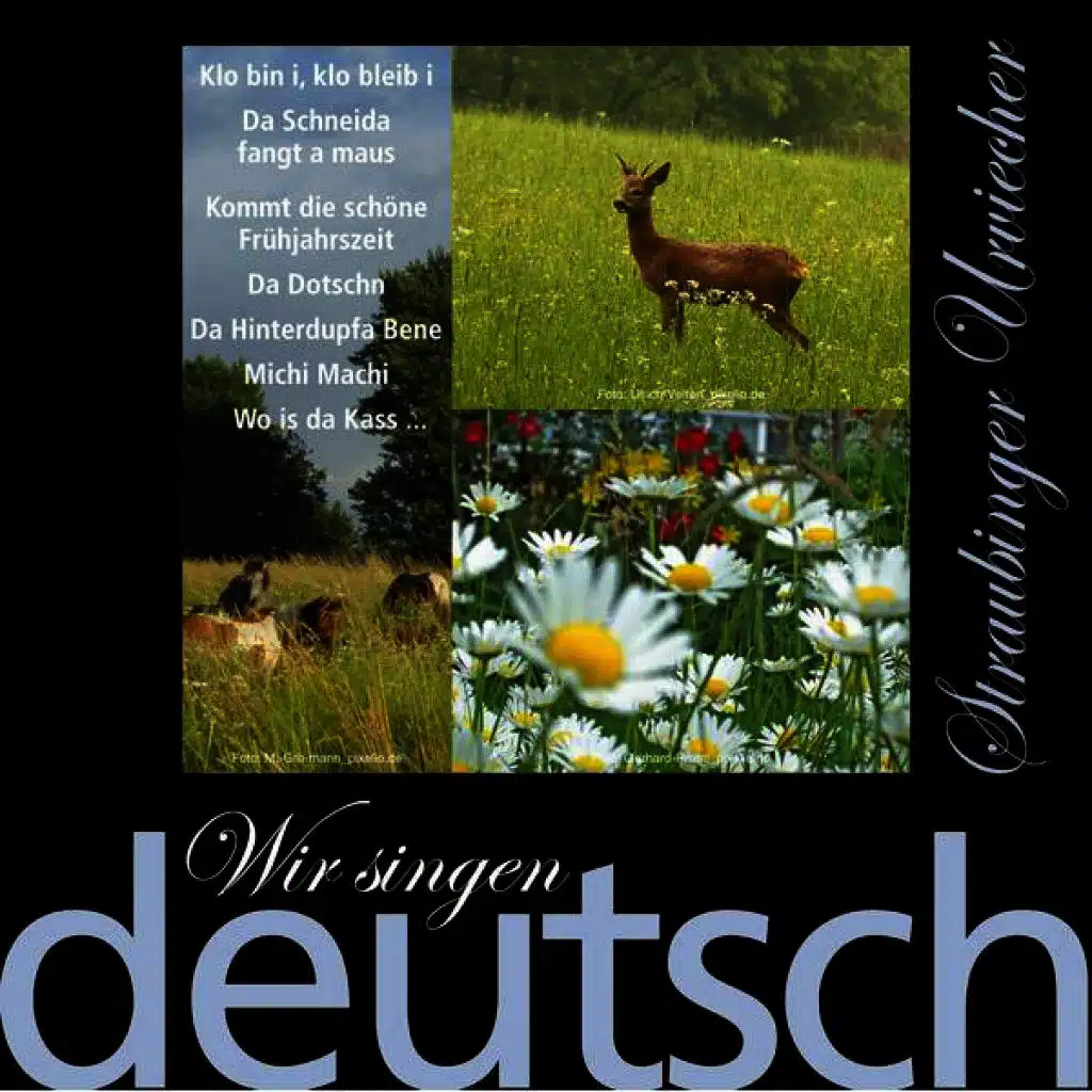 Straubinger Urviecher