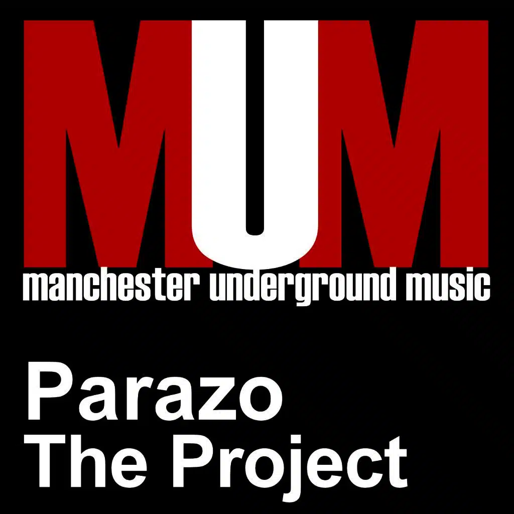 The Project (Original Mix)