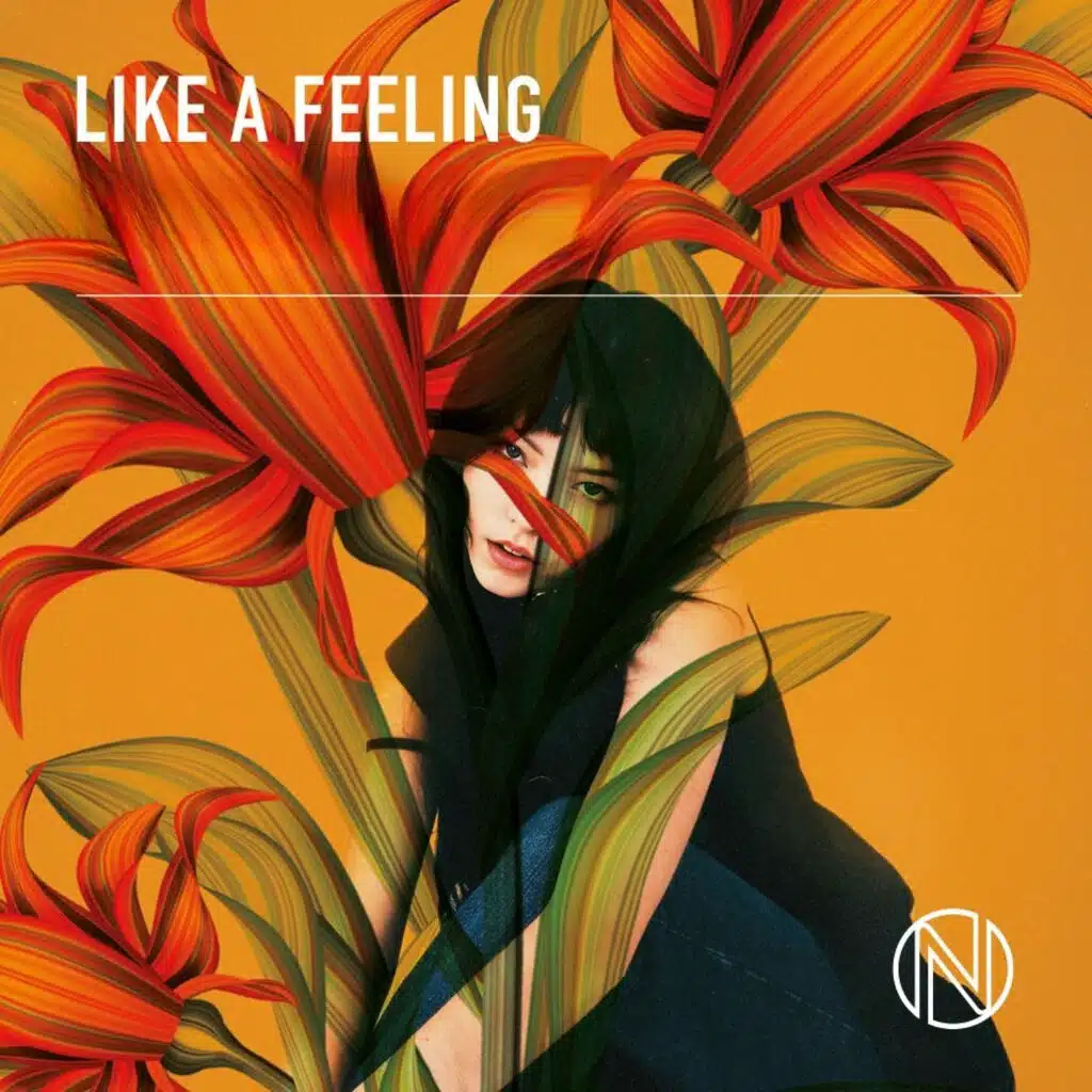 Like A Feeling