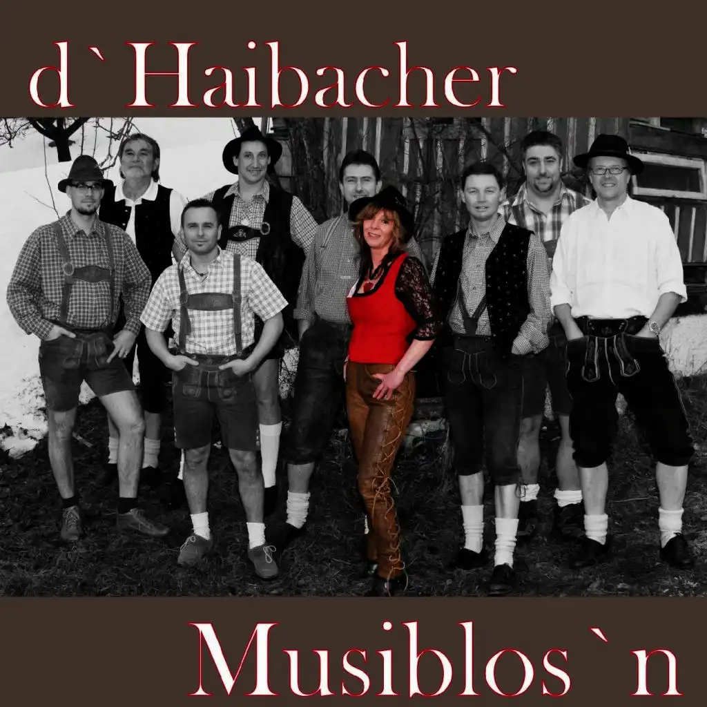 Haibacher Musiblos'n