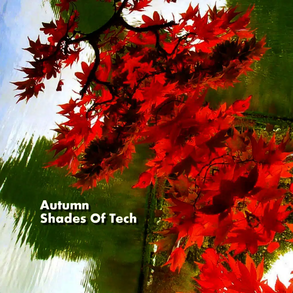 Autumn Shades of Tech